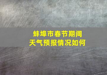 蚌埠市春节期间天气预报情况如何