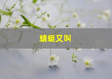 蜻蜓又叫