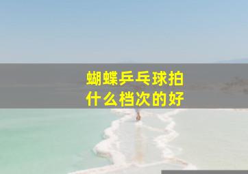 蝴蝶乒乓球拍什么档次的好