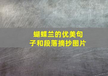 蝴蝶兰的优美句子和段落摘抄图片