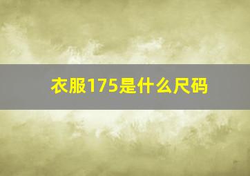 衣服175是什么尺码