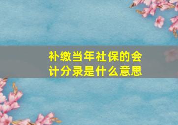 补缴当年社保的会计分录是什么意思