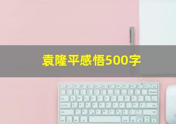 袁隆平感悟500字