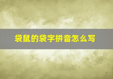 袋鼠的袋字拼音怎么写