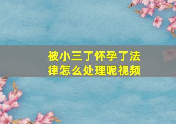 被小三了怀孕了法律怎么处理呢视频