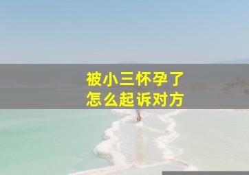 被小三怀孕了怎么起诉对方