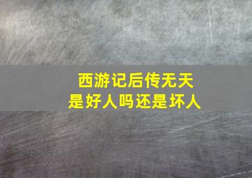 西游记后传无天是好人吗还是坏人