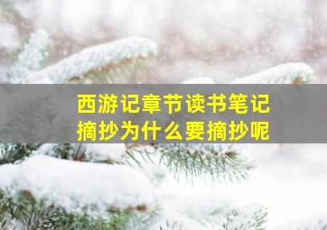 西游记章节读书笔记摘抄为什么要摘抄呢