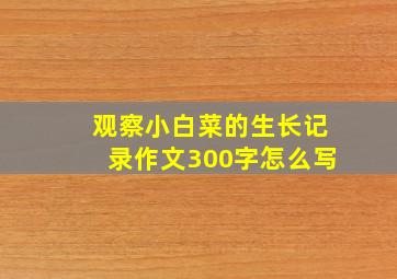 观察小白菜的生长记录作文300字怎么写