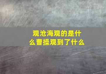 观沧海观的是什么曹操观到了什么