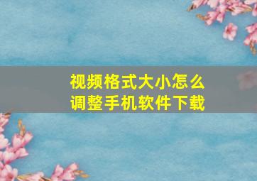 视频格式大小怎么调整手机软件下载