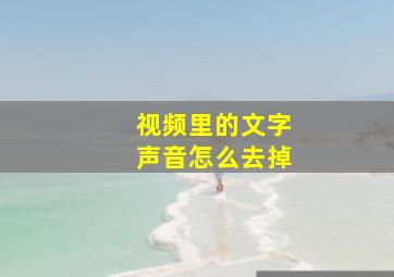 视频里的文字声音怎么去掉