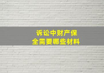 诉讼中财产保全需要哪些材料