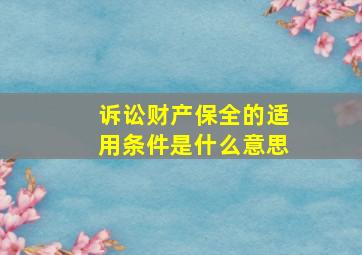 诉讼财产保全的适用条件是什么意思