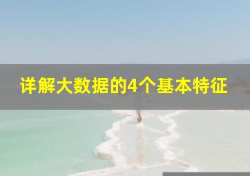 详解大数据的4个基本特征