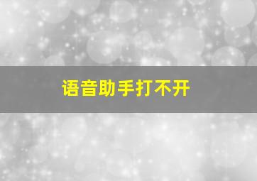 语音助手打不开