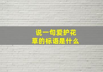 说一句爱护花草的标语是什么