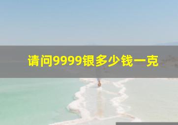 请问9999银多少钱一克