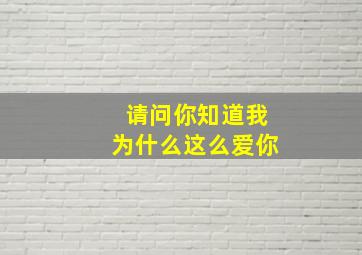 请问你知道我为什么这么爱你