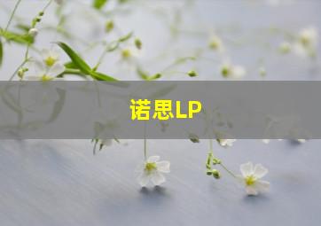 诺思LP