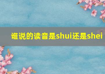 谁说的读音是shui还是shei