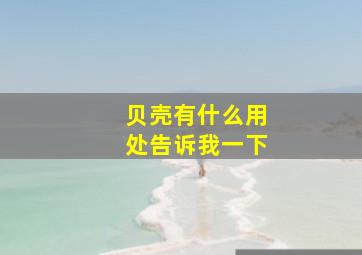 贝壳有什么用处告诉我一下