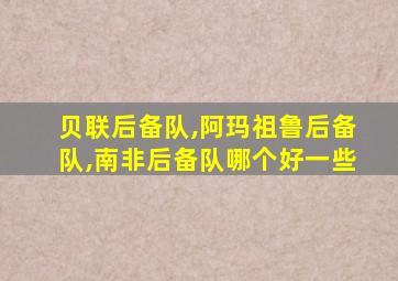 贝联后备队,阿玛祖鲁后备队,南非后备队哪个好一些