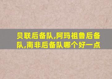 贝联后备队,阿玛祖鲁后备队,南非后备队哪个好一点