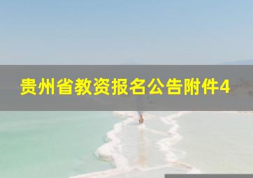 贵州省教资报名公告附件4