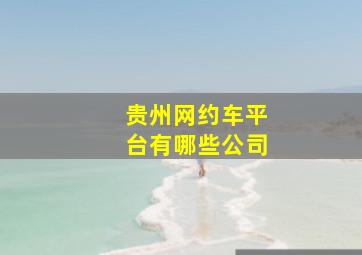 贵州网约车平台有哪些公司