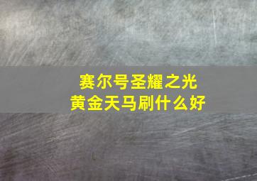 赛尔号圣耀之光黄金天马刷什么好