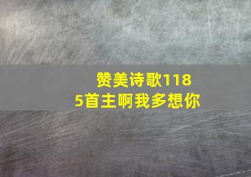 赞美诗歌1185首主啊我多想你