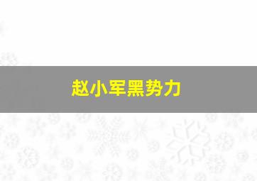 赵小军黑势力