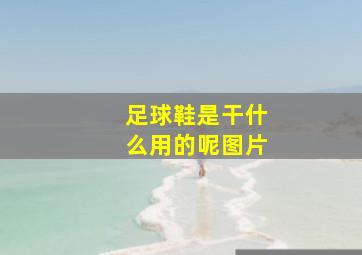 足球鞋是干什么用的呢图片