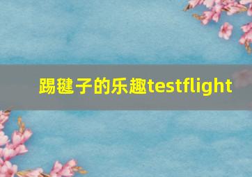 踢毽子的乐趣testflight