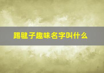 踢毽子趣味名字叫什么