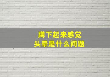 蹲下起来感觉头晕是什么问题