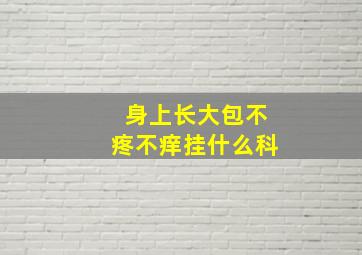 身上长大包不疼不痒挂什么科