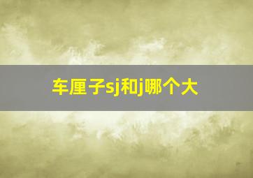 车厘子sj和j哪个大