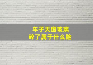 车子天窗玻璃碎了属于什么险