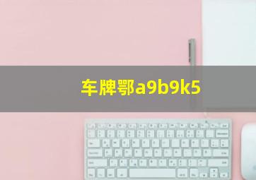 车牌鄂a9b9k5