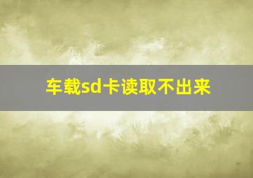 车载sd卡读取不出来