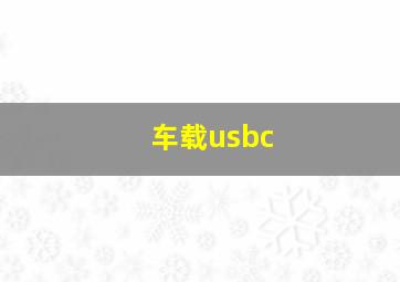 车载usbc