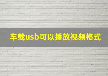 车载usb可以播放视频格式