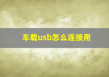 车载usb怎么连接用