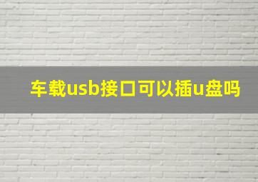 车载usb接口可以插u盘吗