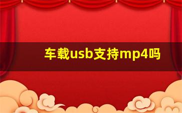 车载usb支持mp4吗