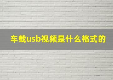 车载usb视频是什么格式的