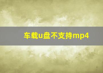 车载u盘不支持mp4