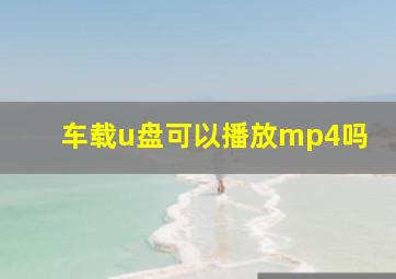 车载u盘可以播放mp4吗